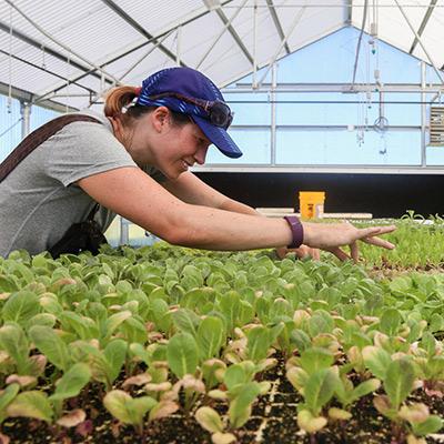 Elgin campus - Sustainable ag class.